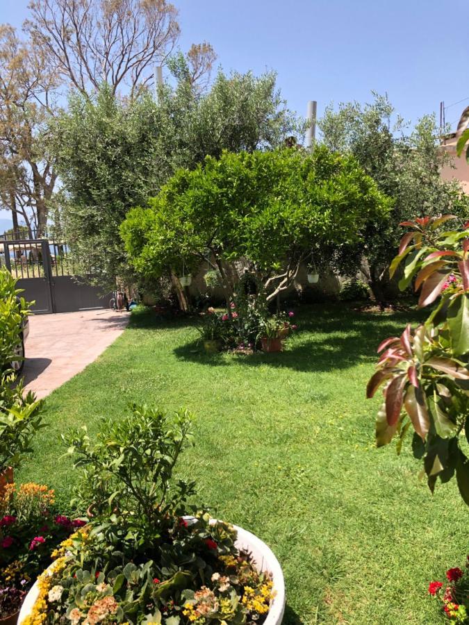 Olive House. Hotel Vlore Exterior photo